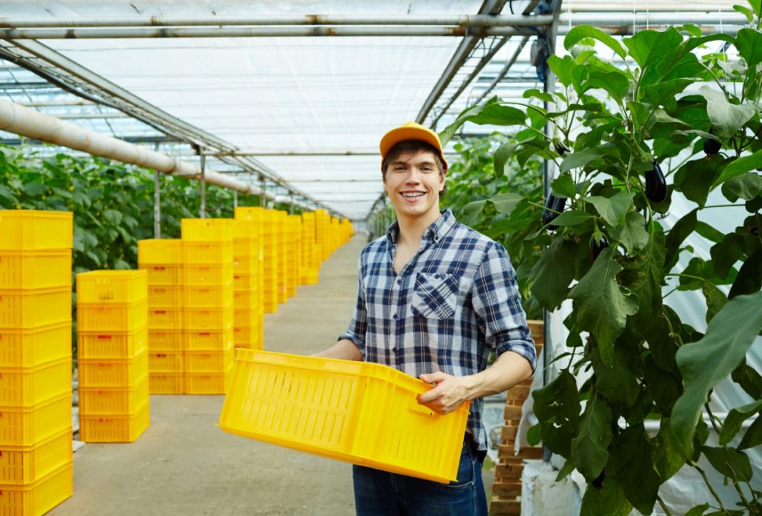 Guararema abrirá inscrições para o curso Jovem Agricultor do Futuro