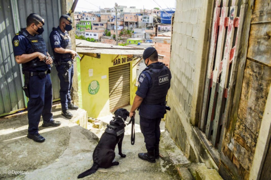 Cão Policial localiza drogas no Marengo Baixo
