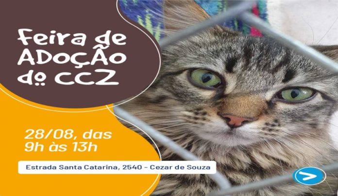 Mogi promove feira de adoção de cães e gatos neste sábado, no CCZ