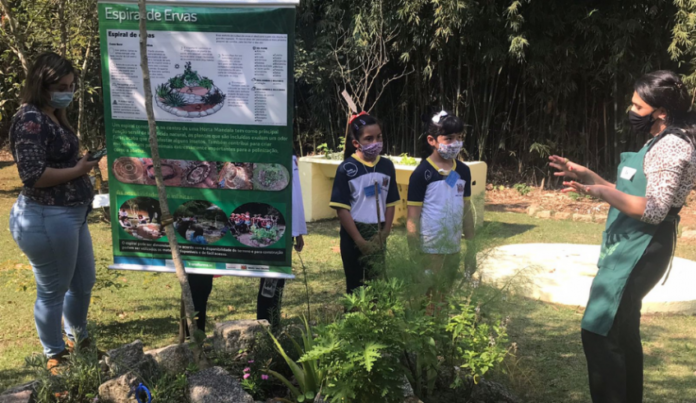 Alunos participam da oficina “O que os chás nos contam” na Escola Ambiental