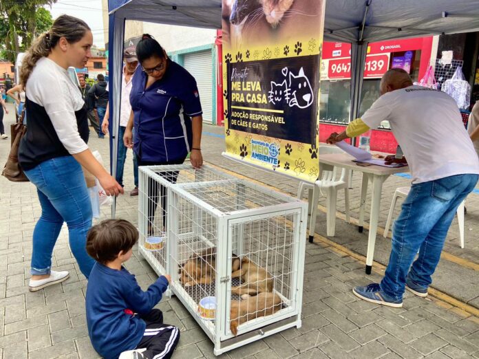 Campanha “Dezembro Verde” alerta sobre maus-tratos aos animais e terá inscrições para castração gratuita em Ferraz