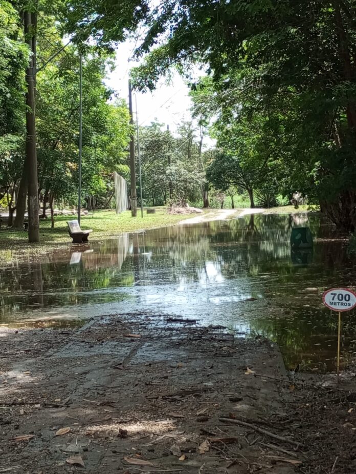 Parque Ecológico de Itaquá é interditado após alagamentos