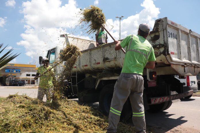 Suzano intensifica trabalhos de limpeza e cuidado com praças e jardins