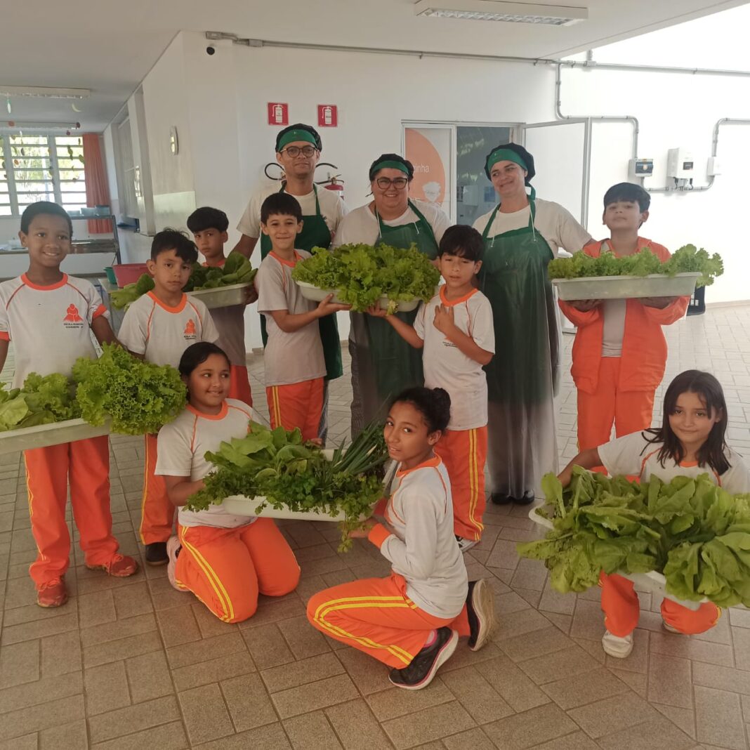 Alunos da Educação de Guararema cultivam conhecimento, sustentabilidade e empreendedorismo